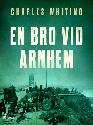 cover image of En bro vid Arnhem